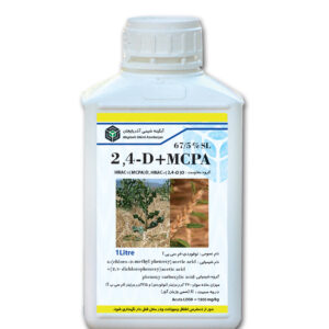 2,4 D