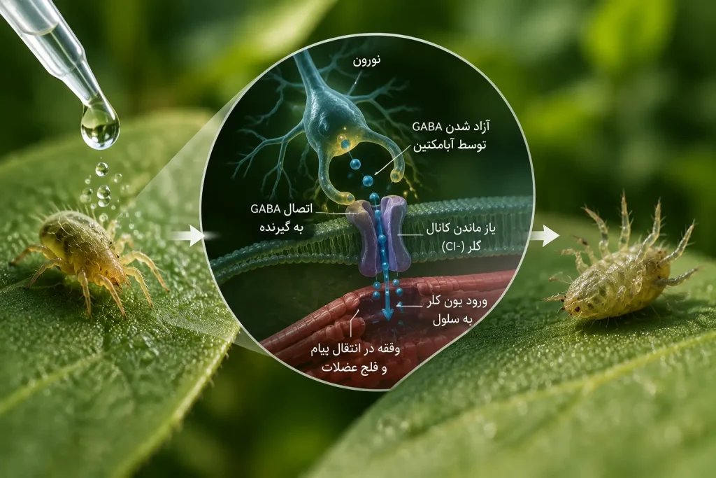 مقدمه